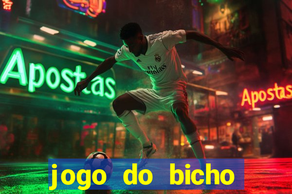 jogo do bicho crash bingo
